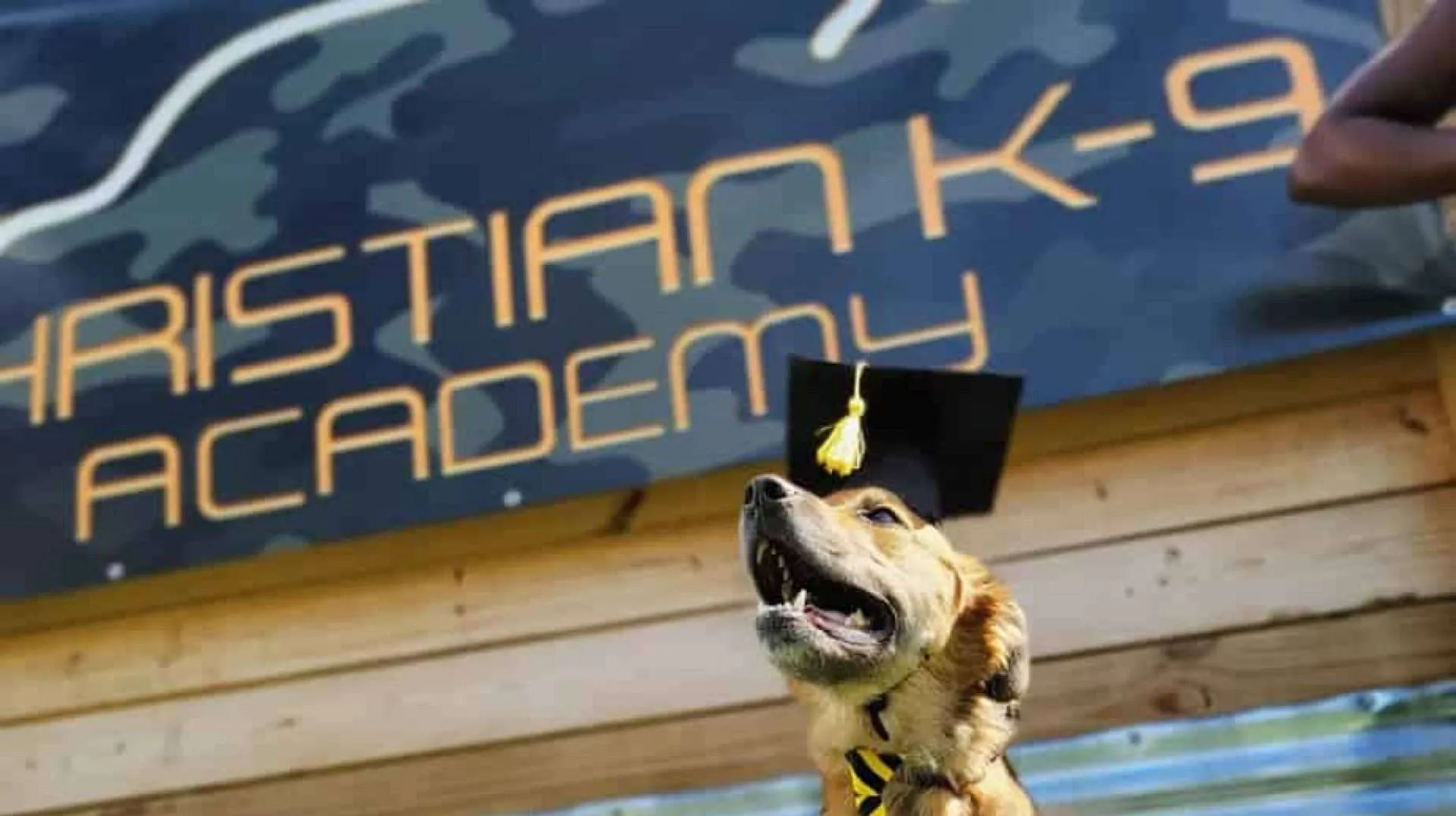 board and train graduate christian k9